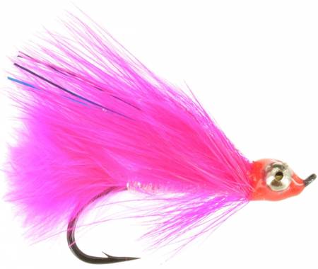 Pink Coho Comet