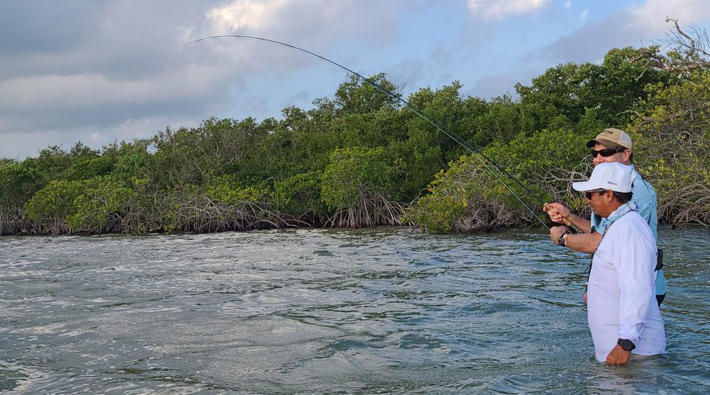 bonefish flat ascension bay mexico