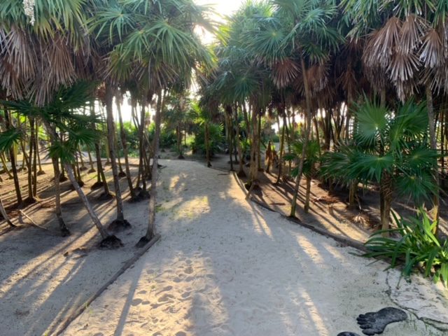 trail leading to the beach pesca maya lodge