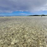 Lac Bay Bonaire Bonefish Flats